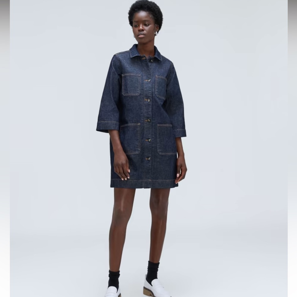 EVERLANE DENIM CHORE DRESS